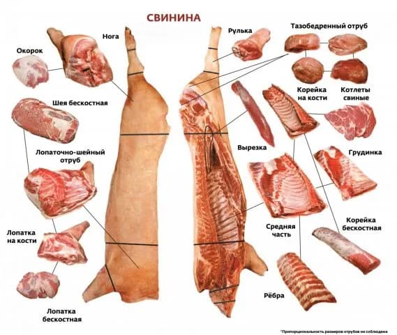 Polędwica wieprzowa gdzie się znajduje - odkryj jej tajemnice w tuszy Polędwica wieprzowa gdzie się znajduje - odkryj jej tajemnice w tuszy